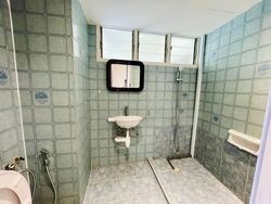 Dunearn Road (D11), Condominium #613519661